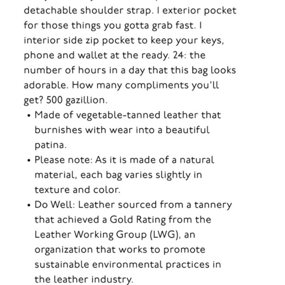 NWT Madewell The Small Transport Crossbody in Zebra Calf Hair - Picture 13 of 13